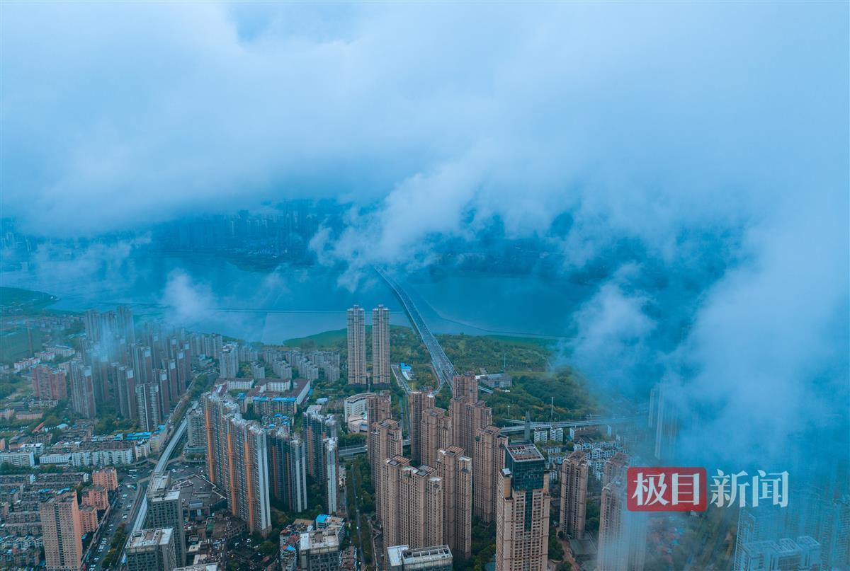 博乐软件下载